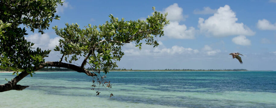 Plage de sable blanc à Sian Ka'an